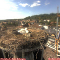 16_55-nest.jpg