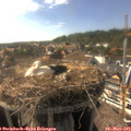 17_10-nest.jpg