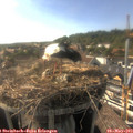 17_25-nest.jpg