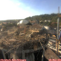 18_10-nest.jpg