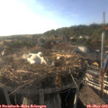 18_25-nest.jpg