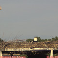18_40-mast.jpg