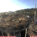 18_55-nest.jpg