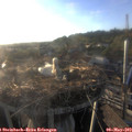 19_25-nest.jpg