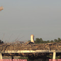 19_40-mast.jpg