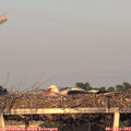 20_05-mast.jpg