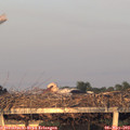 20_15-mast.jpg