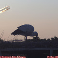 06_05-mast.jpg