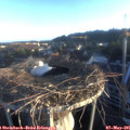 06_25-nest.jpg