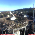 07_00-nest.jpg