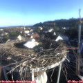 07_05-nest.jpg