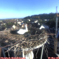 07_10-nest.jpg