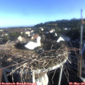 07_15-nest.jpg