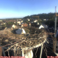 07_25-nest.jpg