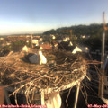 07_30-nest.jpg