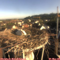 07_35-nest.jpg