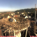 08_00-nest.jpg