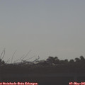 08_10-mast.jpg