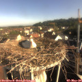 08_10-nest.jpg