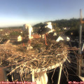 08_15-nest.jpg