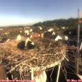 08_20-nest.jpg