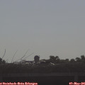 08_30-mast.jpg