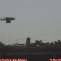 08_35-mast.jpg