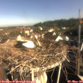 08_35-nest.jpg