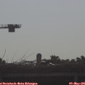 08_40-mast.jpg