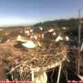 08_40-nest.jpg