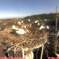 08_45-nest.jpg