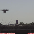 09_05-mast.jpg