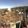 09_10-nest.jpg