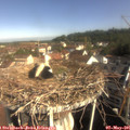 09_15-nest.jpg