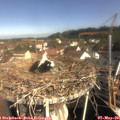 09_45-nest.jpg