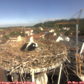 10_00-nest.jpg