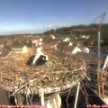10_05-nest.jpg