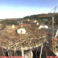 10_15-nest.jpg