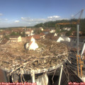 10_20-nest.jpg