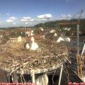 10_25-nest.jpg