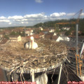 10_30-nest.jpg