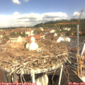 10_35-nest.jpg