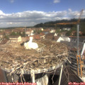 10_45-nest.jpg