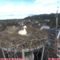 11_05-nest.jpg