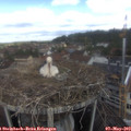 11_15-nest.jpg