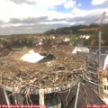 11_40-nest.jpg
