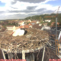 11_55-nest.jpg