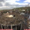 12_05-nest.jpg
