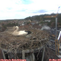 12_15-nest.jpg