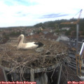 12_20-nest.jpg